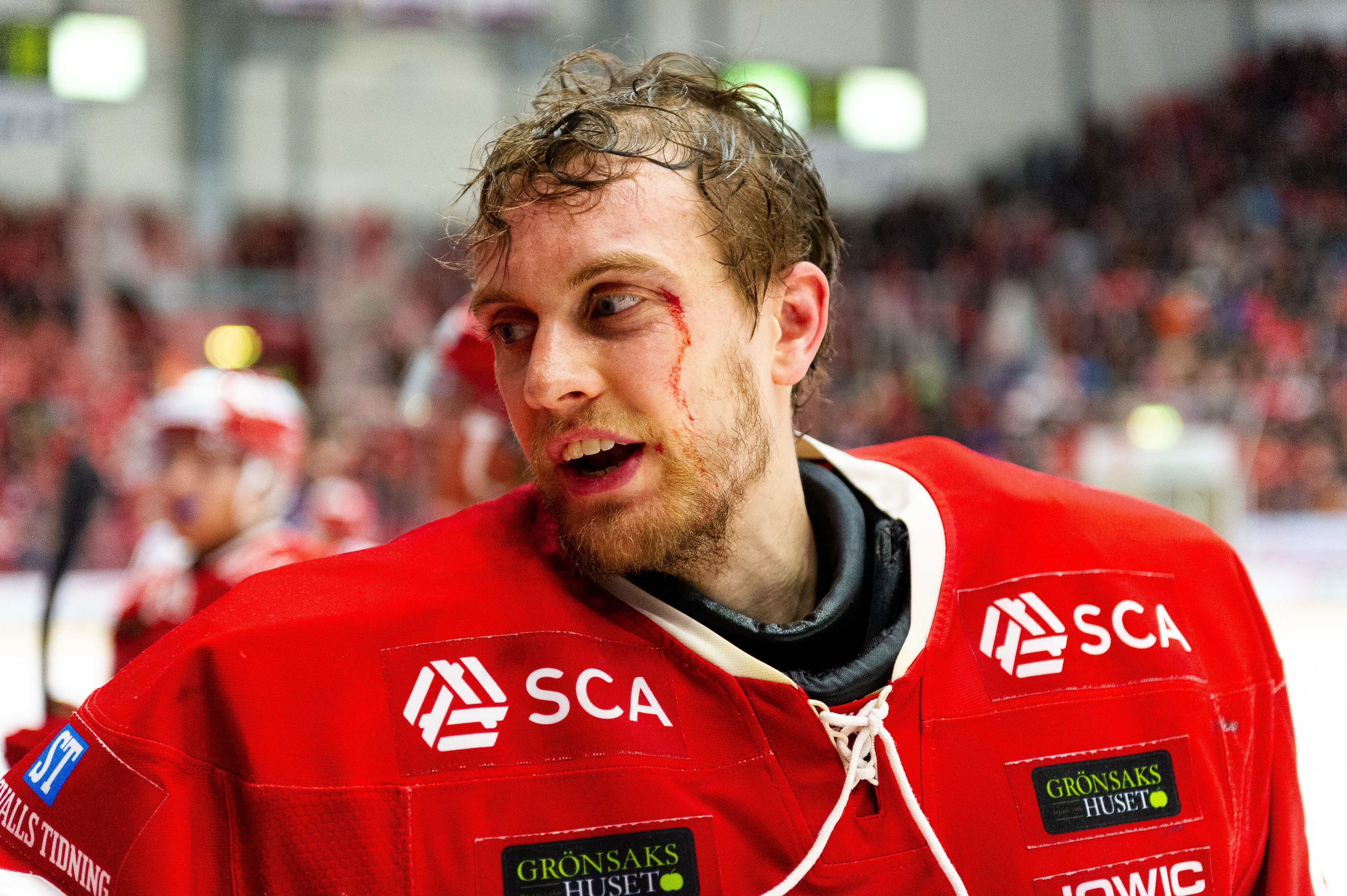 SHL-podden tar ut säsongens lag – i tre skepnader