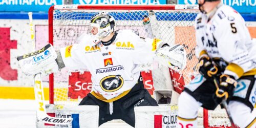 Brynäs IF Veini Vehviläinen